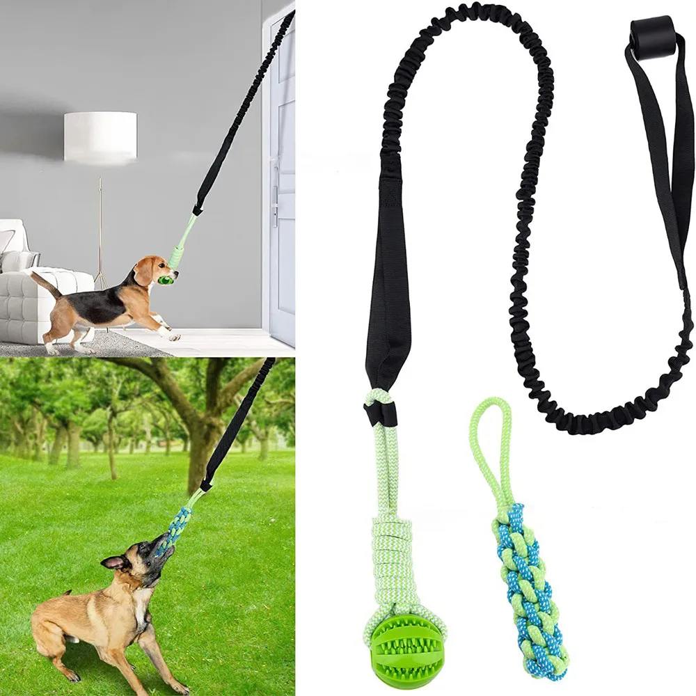 Spring Rope Tug Toy for Dogs