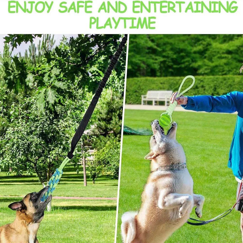 Spring Rope Tug Toy for Dogs