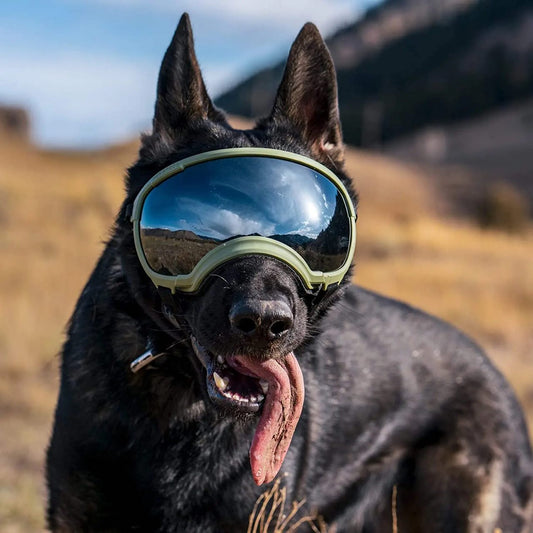 Dog Eye Protection Sunglasses