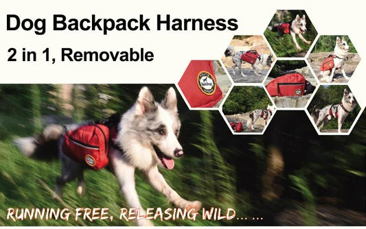 Removable Dog Backpack Harness