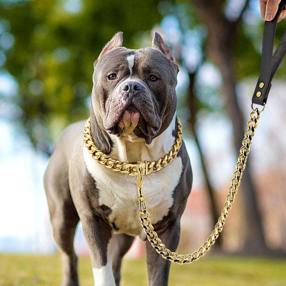 Luxury Dog Chain Leash with Genuine Leather Handle