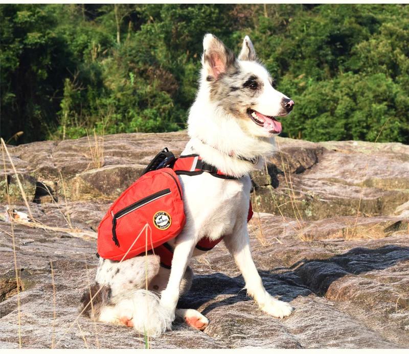 Removable Dog Backpack Harness