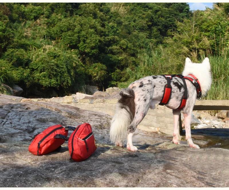 Removable Dog Backpack Harness