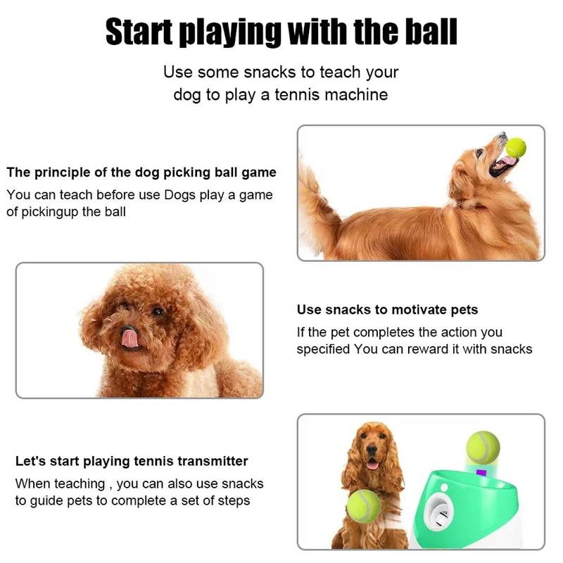 Tennis Ball Launcher for Dogs